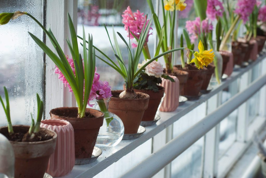 Ontdek de mogelijkheden van 3D-printing voor je tuin