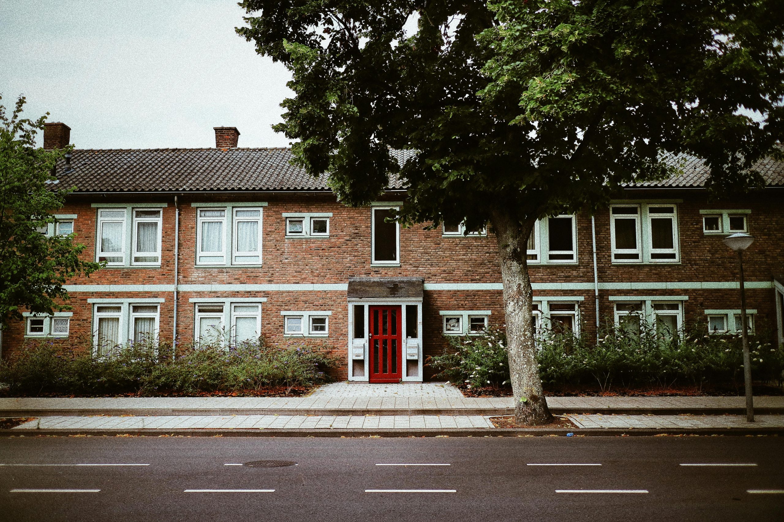 Portugese laurier haag met Prunus lusitanica Brenelia